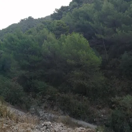 Casa Rural Celeste N1 N2 Frigiliana Acebuchal